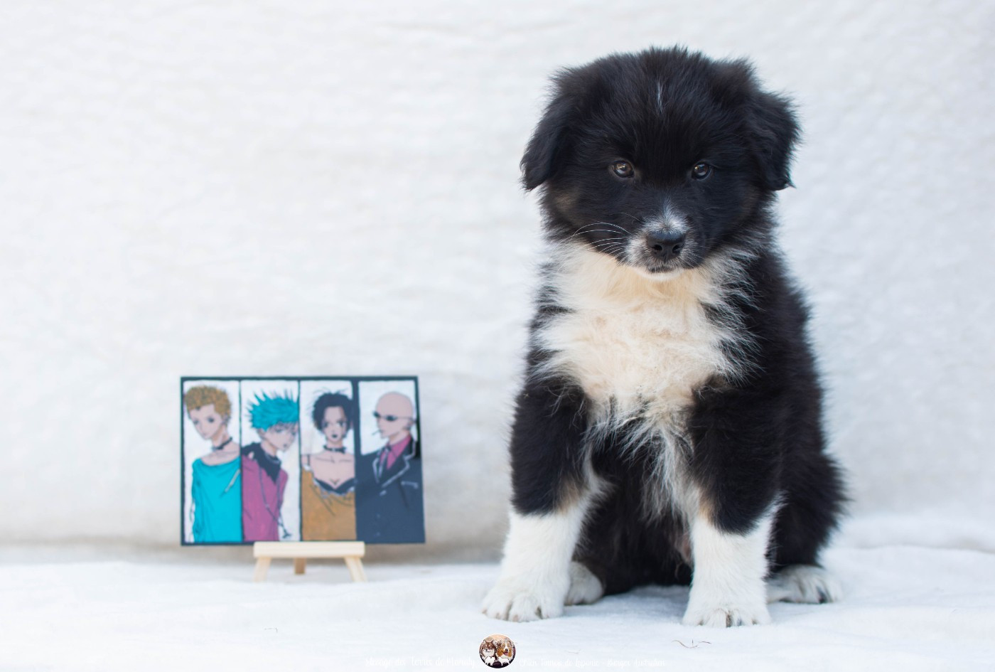 BLAST YASU